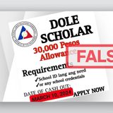FACT CHECK: DOLE-NLRC not offering scholarship allowances